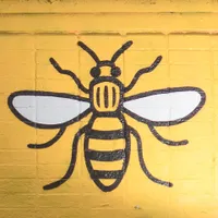 Greater Manchester Mayoral Election Winner